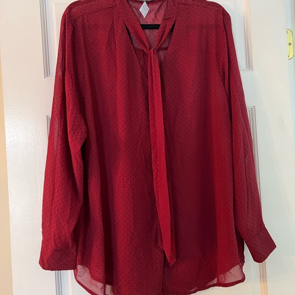 NWT Polka Dot Mens Style Blouse with adorable details - Picture 6 of 6